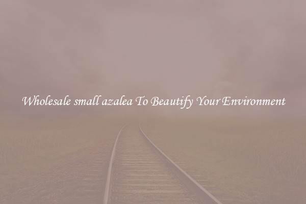 Wholesale small azalea To Beautify Your Environment