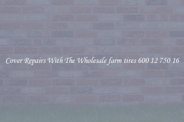  Cover Repairs With The Wholesale farm tires 600 12 750 16 