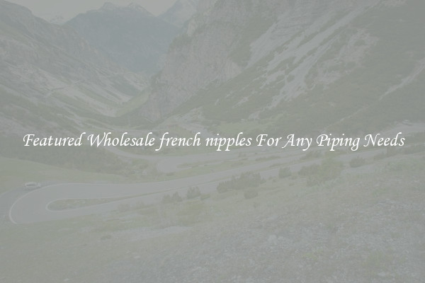 Featured Wholesale french nipples For Any Piping Needs