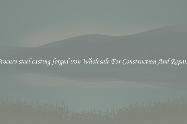 Procure steel casting forged iron Wholesale For Construction And Repairs