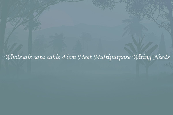 Wholesale sata cable 45cm Meet Multipurpose Wiring Needs