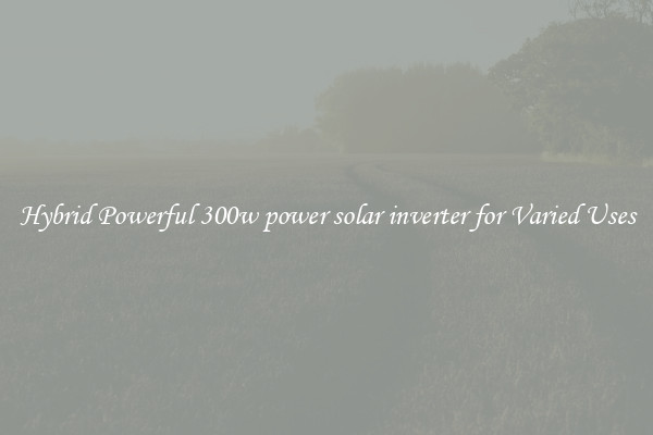 Hybrid Powerful 300w power solar inverter for Varied Uses