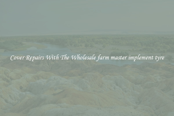  Cover Repairs With The Wholesale farm master implement tyre 
