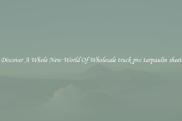 Discover A Whole New World Of Wholesale truck pvc tarpaulin sheet
