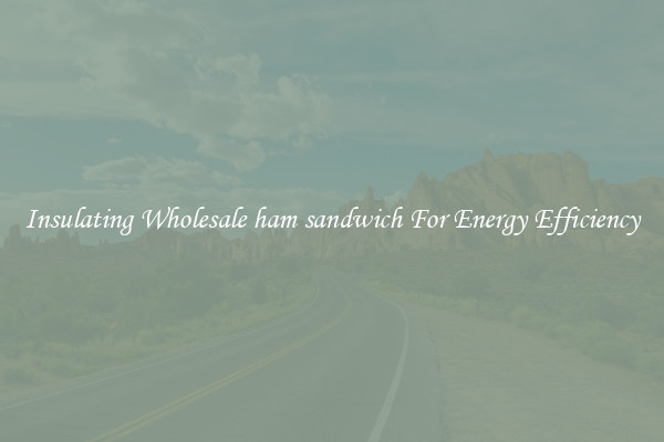 Insulating Wholesale ham sandwich For Energy Efficiency