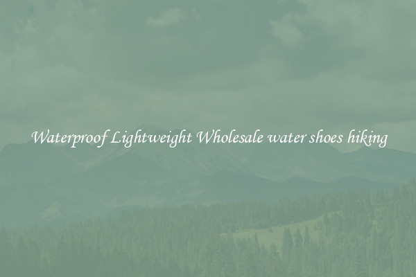 Waterproof Lightweight Wholesale water shoes hiking