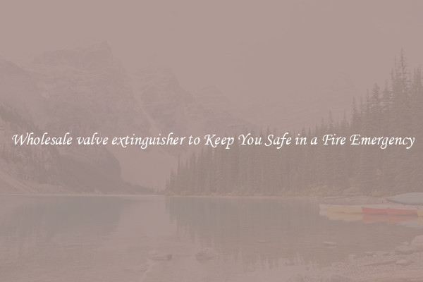 Wholesale valve extinguisher to Keep You Safe in a Fire Emergency