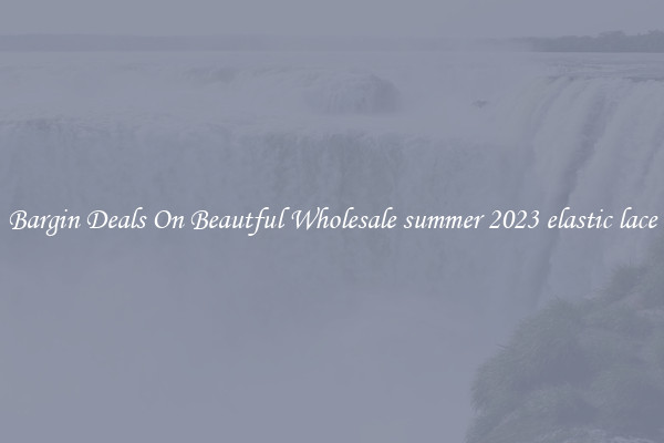 Bargin Deals On Beautful Wholesale summer 2023 elastic lace
