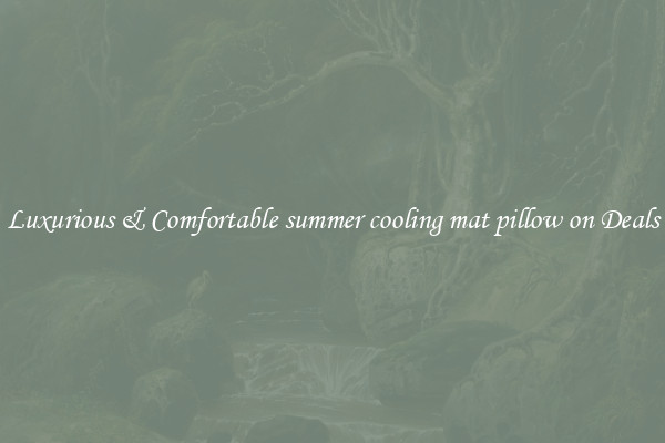 Luxurious & Comfortable summer cooling mat pillow on Deals