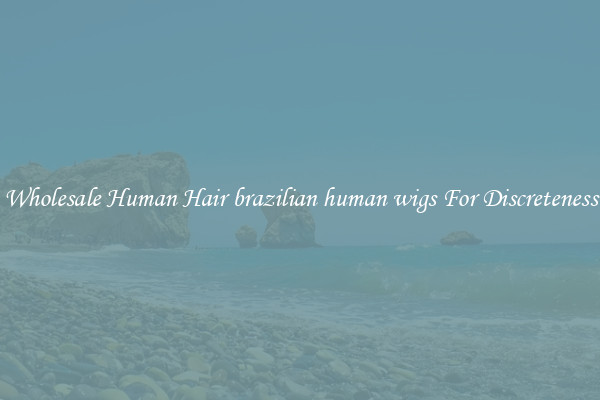 Wholesale Human Hair brazilian human wigs For Discreteness
