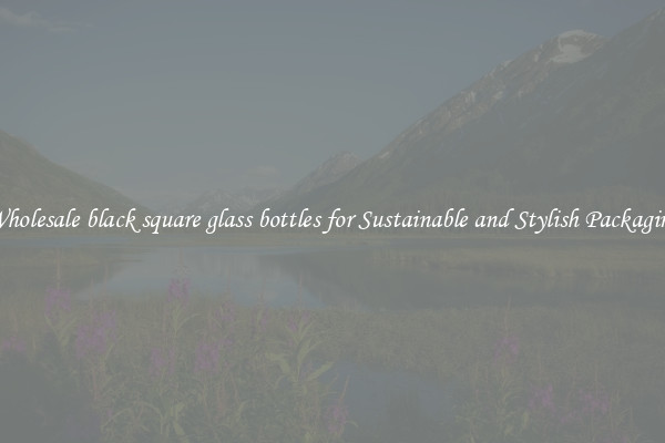 Wholesale black square glass bottles for Sustainable and Stylish Packaging