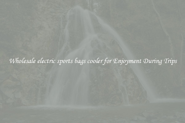 Wholesale electric sports bags cooler for Enjoyment During Trips