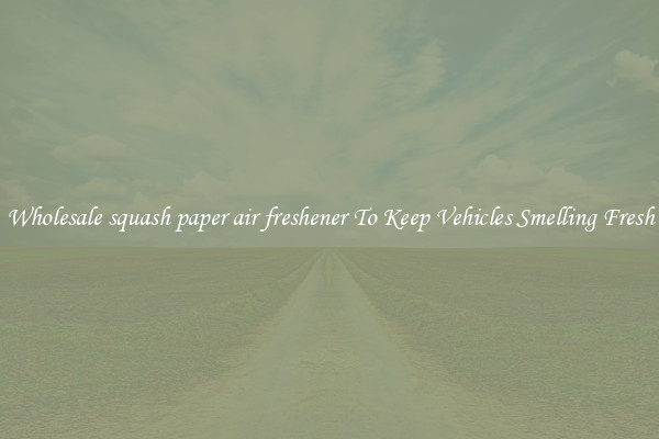 Wholesale squash paper air freshener To Keep Vehicles Smelling Fresh