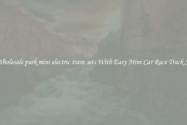 Buy Wholesale park mini electric train sets With Easy Mini Car Race Track Set Up