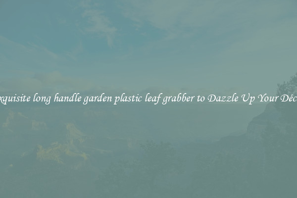 Exquisite long handle garden plastic leaf grabber to Dazzle Up Your Décor 