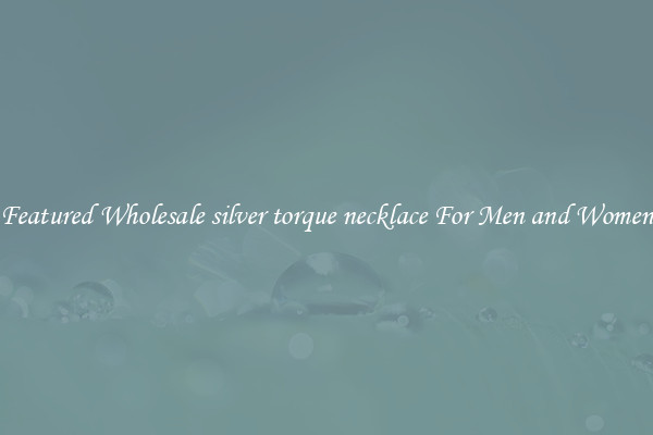 Featured Wholesale silver torque necklace For Men and Women