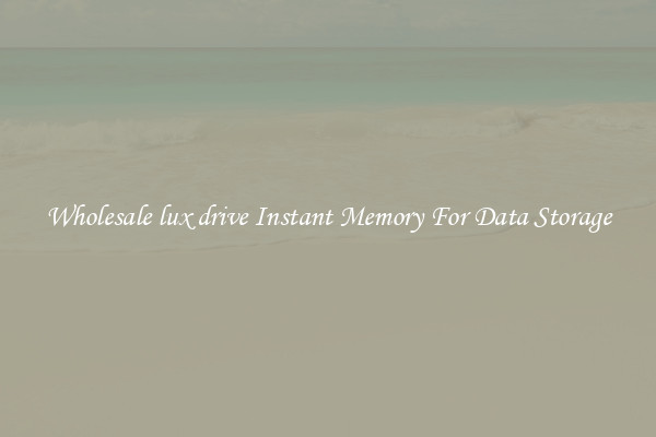 Wholesale lux drive Instant Memory For Data Storage
