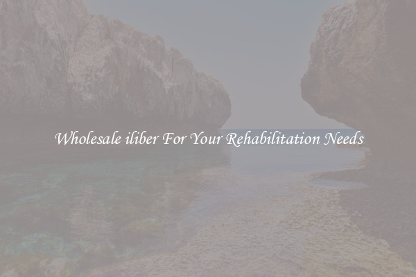 Wholesale iliber For Your Rehabilitation Needs