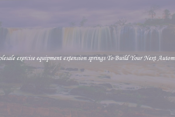 Wholesale exercise equipment extension springs To Build Your Next Automaton